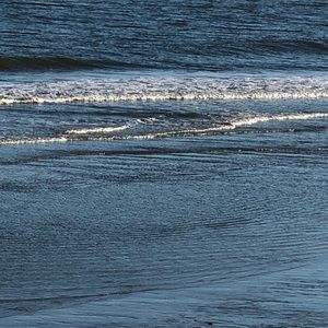 Meet your Posher, Pam